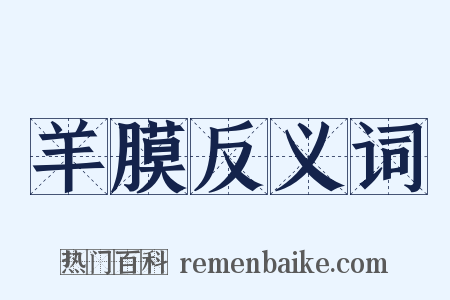 羊膜反义词是什么意思的图片